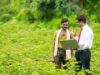 How proper education can help farmers grow their profit