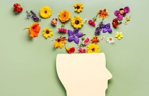 Behavioral Health and Mental Health