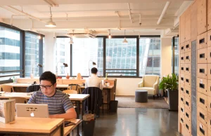 Maximize Your Office Potential with Professional OP Services at Affordable Rates Office Potential